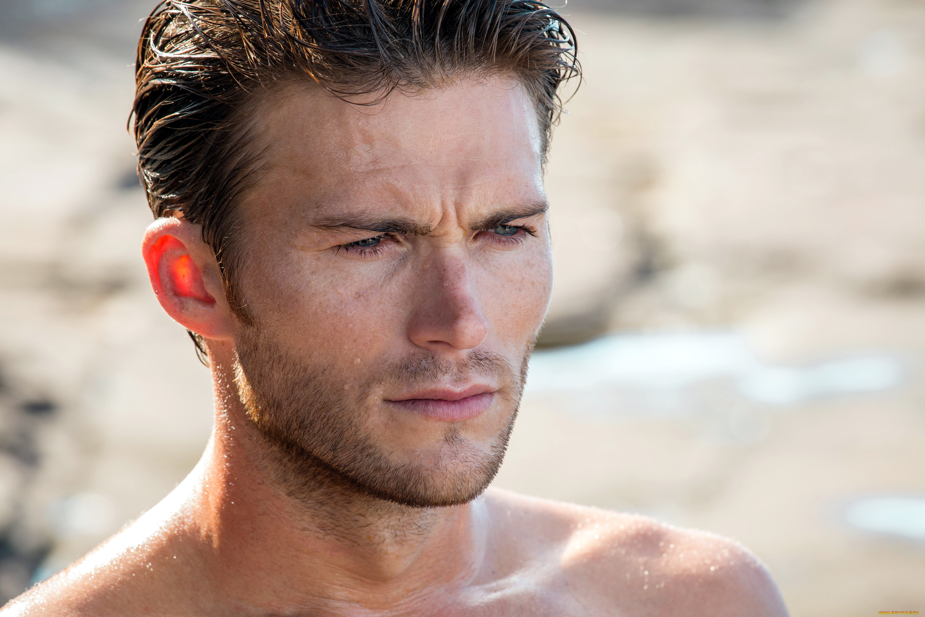 , scott eastwood, 